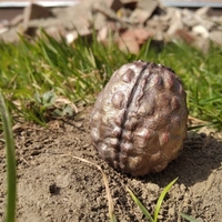 Whispering Egg | No Man's Sky - Thumbnail 1