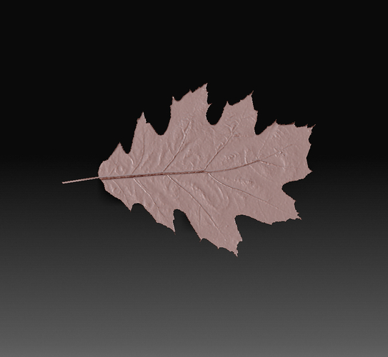 Leaves 3D Print 349974