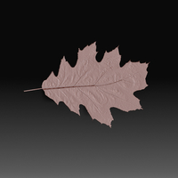 Leaves - Thumbnail 2