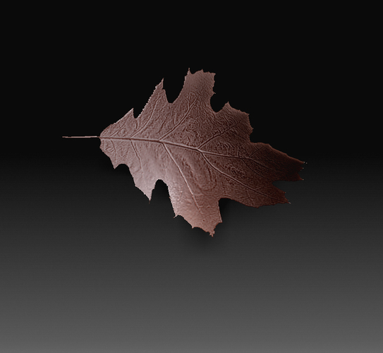 Leaves 3D Print 349975