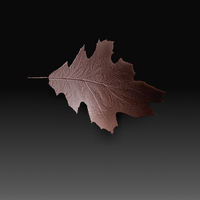 Leaves - Thumbnail 3