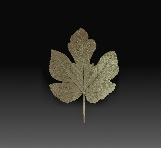 Leaves 3D Print 349976