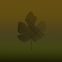 Leaves - Thumbnail 5