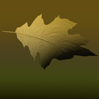 Leaves - Thumbnail 6