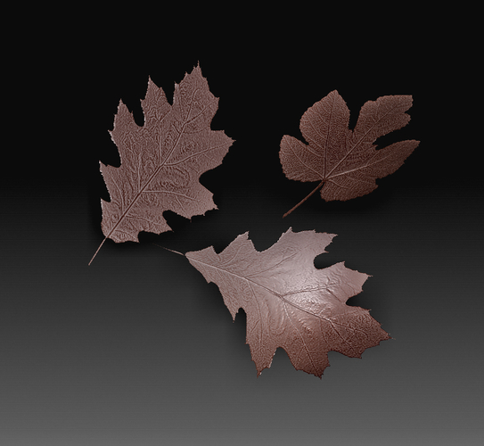 Leaves 3D Print 349979