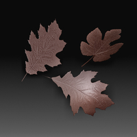 Small Leaves 3D Printing 349979