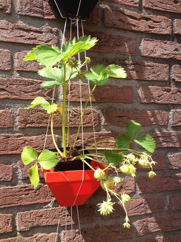 Hanging garden type 3