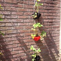 Hanging garden type 3 - Thumbnail 2