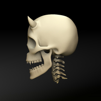 Diablo skull - Thumbnail 3