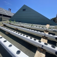 Gutter Hydroponics - Thumbnail 3