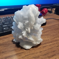 Small Aquascape coral 1  3D Printing 354413
