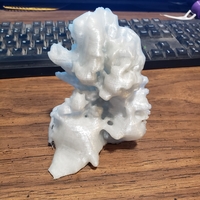 Aquascape coral 1  - Thumbnail 5