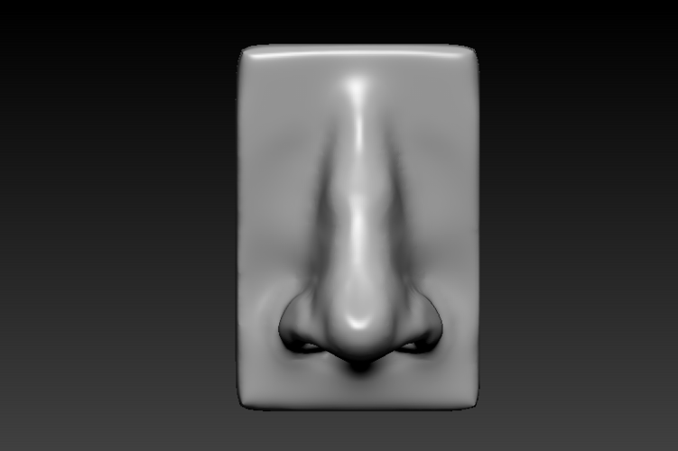 Nose - 3D Model 3D Print 354622