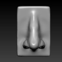Nose - 3D Model - Thumbnail 1