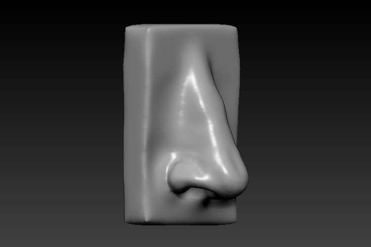 Nose - 3D Model
