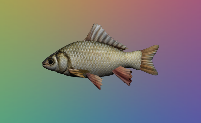 Fish - 3D Model 3D Print 354658
