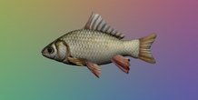 Image 354658