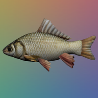 Small Fish - 3D Model 3D Printing 354658
