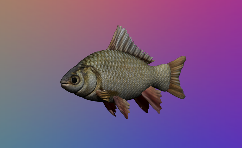 Fish - 3D Model 3D Print 354659