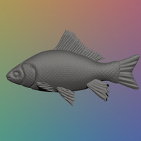 Fish - 3D Model - Thumbnail 3