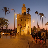 The Gold Tower of Seville - Torre del Oro de Sevilla - Thumbnail 3