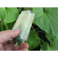 Fruit mold (triangle, square, heart) - Thumbnail 4