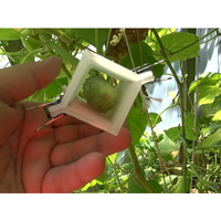 Fruit mold (triangle, square, heart) - Thumbnail 9