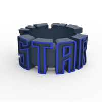 Small Ring with lettering STAR TREK 3D Printing 355116