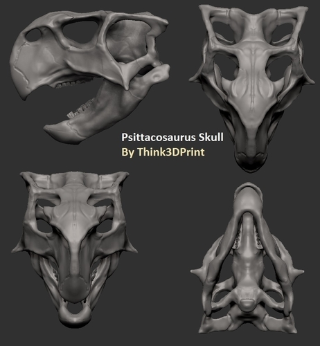 3d printed dinosaur skull