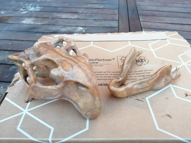 3d printed dinosaur skull
