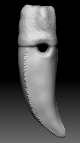 T - Rex teeth pendant  (1 extra variation free) 3D Print 355305