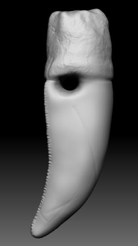 T - Rex teeth pendant  (1 extra variation free) 3D Print 355306