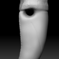 T - Rex teeth pendant  (1 extra variation free) - Thumbnail 3