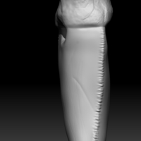 T - Rex teeth pendant  (1 extra variation free) - Thumbnail 4