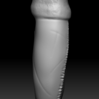 T - Rex teeth pendant  (1 extra variation free) - Thumbnail 5