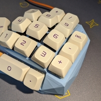 Small Whale Numeric Keyboard Case (Beta Version) 3D Printing 355381