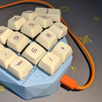 Whale Numeric Keyboard Case (Beta Version) - Thumbnail 6