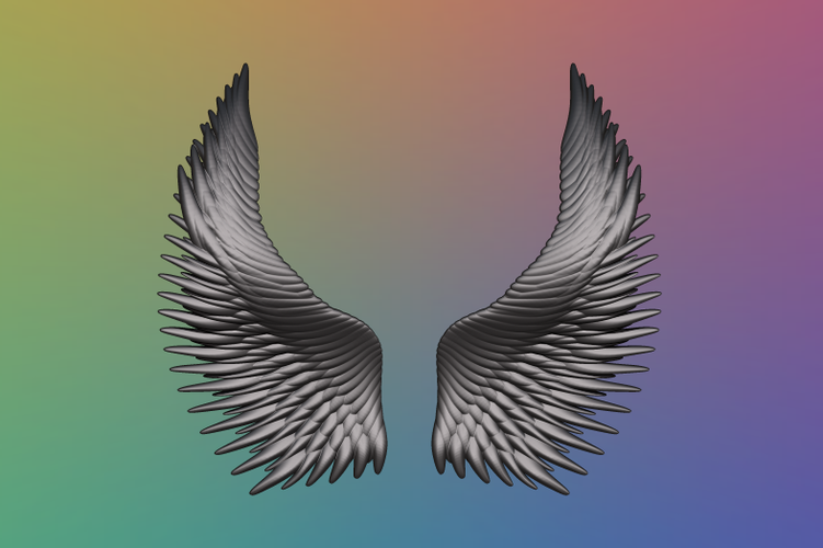 Wings - 3D Model