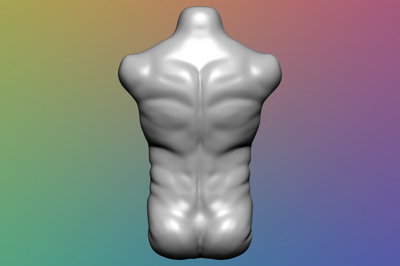 Male Torso - 3D Model 3D Print 355558