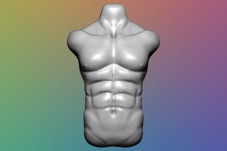 Male Torso - 3D Model 3D Print 355559