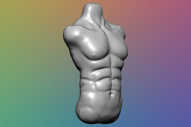 Male Torso - 3D Model 3D Print 355560