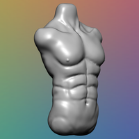 Male Torso - 3D Model - Thumbnail 3