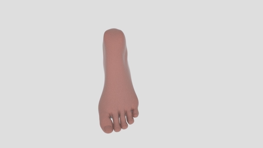 foot - piede 3D Print 355577