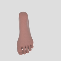 foot - piede - Thumbnail 1