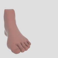 Small foot - piede 3D Printing 355578