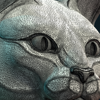 Cat Head - Thumbnail 11