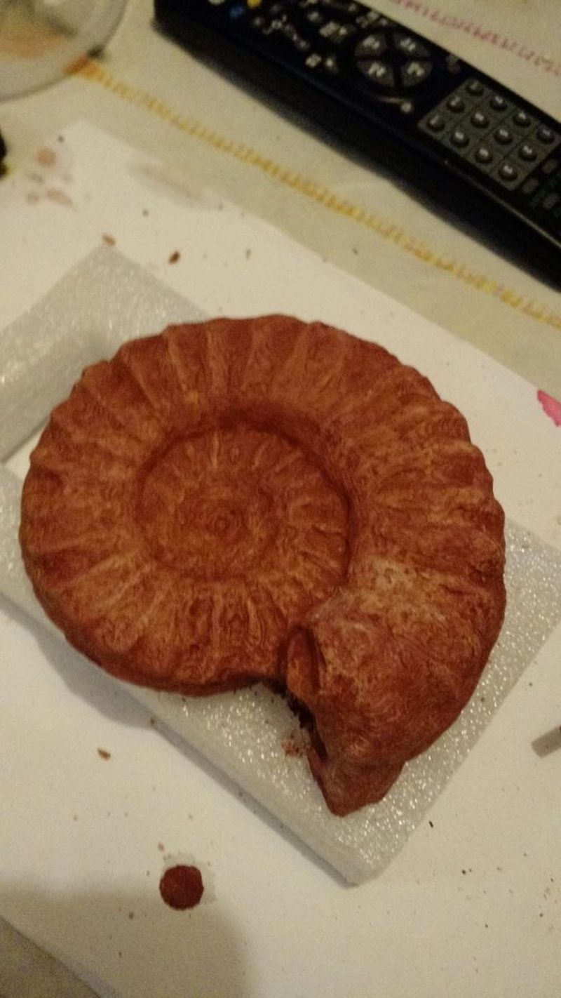 ammonite mold