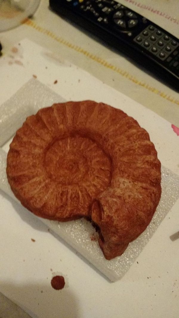 ammonite mold