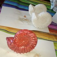 ammonite mold - Thumbnail 4