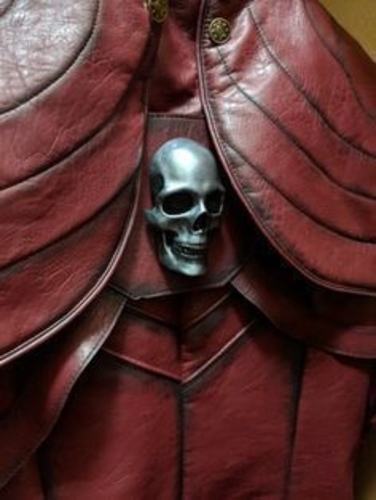 DMC - Devil May Cry skull on Dante's back 3D Print 358817